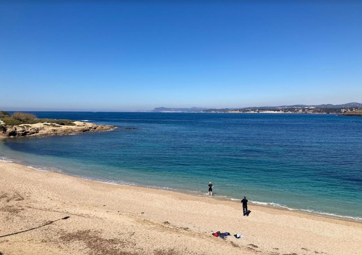 Sea-View - Wifi - Parking Leilighet Six-Fours-les-Plages Eksteriør bilde